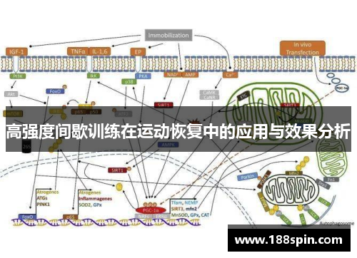 高强度间歇训练在运动恢复中的应用与效果分析