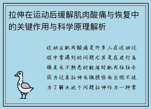 拉伸在运动后缓解肌肉酸痛与恢复中的关键作用与科学原理解析