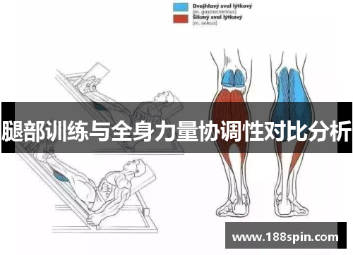 腿部训练与全身力量协调性对比分析